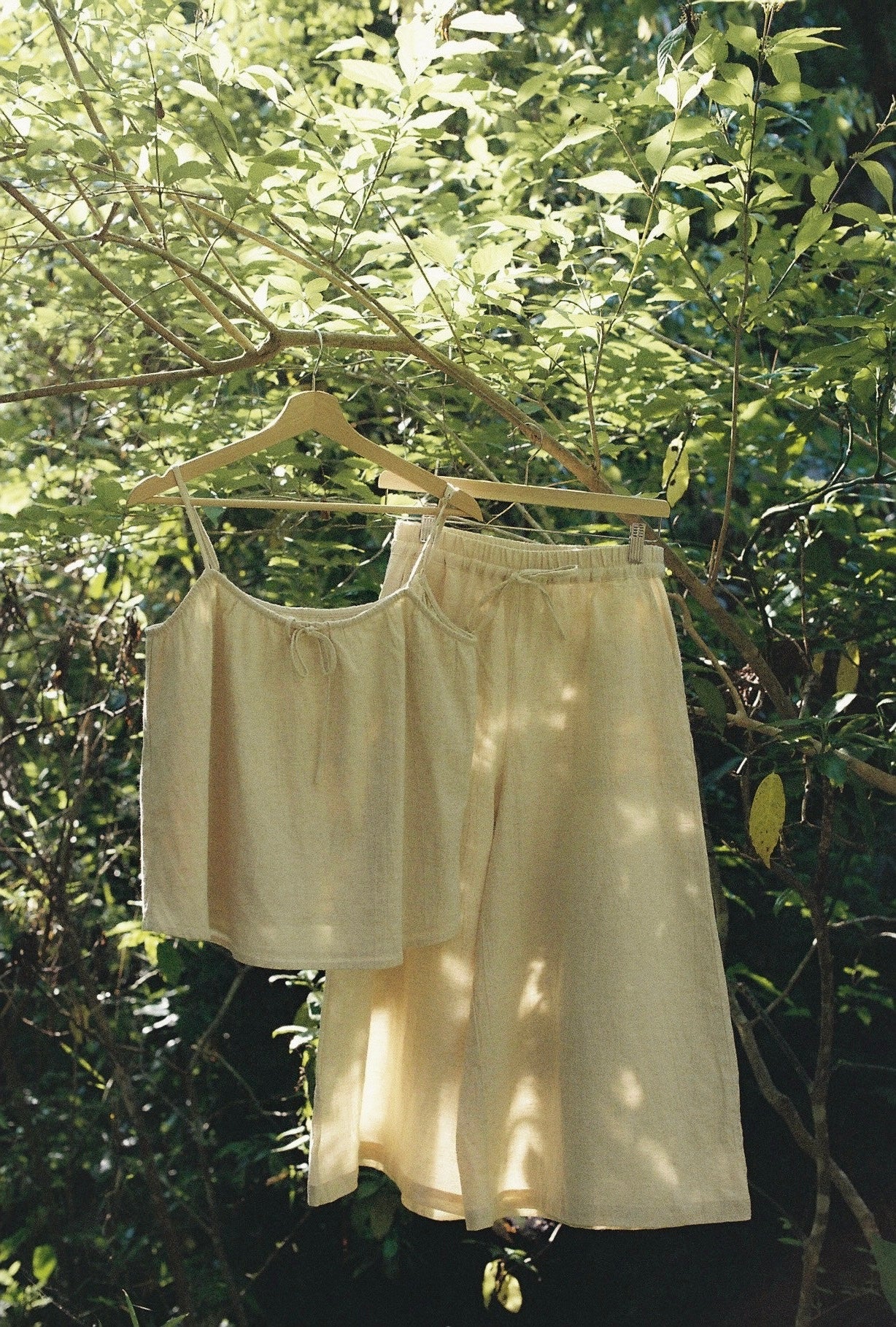 コレクション – seed and soil